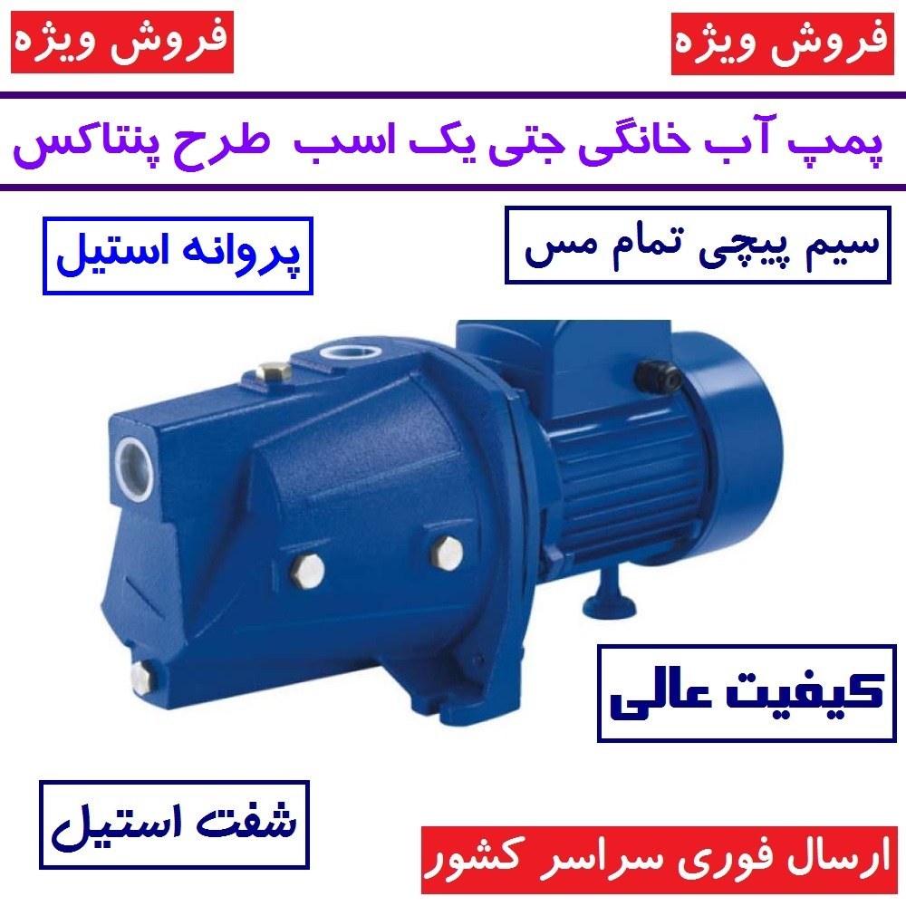 الکترو پمپ جتی طرح پنتاکس اسکواردی 1 اسب مدل IAM100-s پروانه استیل پمپ آب جتی یک اسب اسکواردی سیم پیچی تمام مس (فروش ویژ