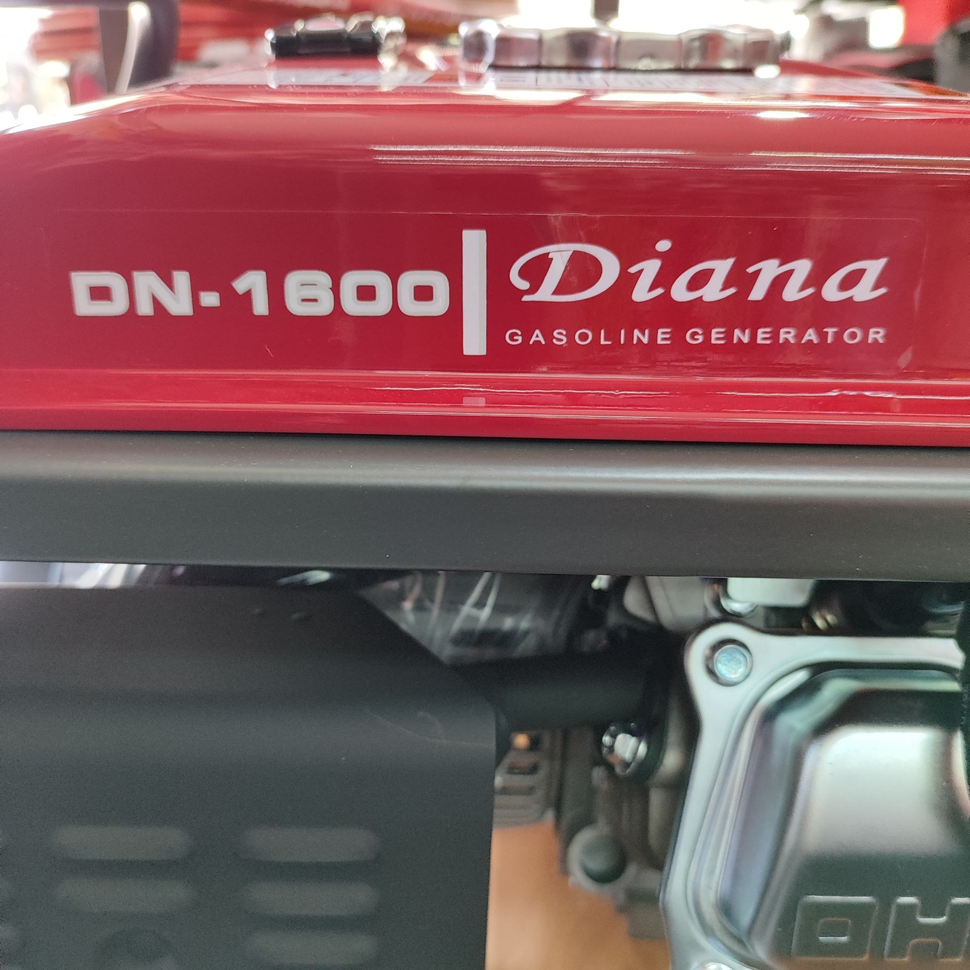 موتور برق دیانا 1.3 کیلو وات موتور ژنراتور برق دیانا مدل DN-1600 سیم پیچی تمام مس ارسال سراسر کشور (پس کرایه)
