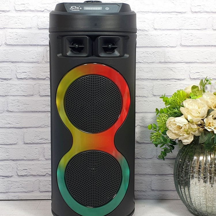 اسپیکر قابل حمل شارژی مدل ZQS 6220