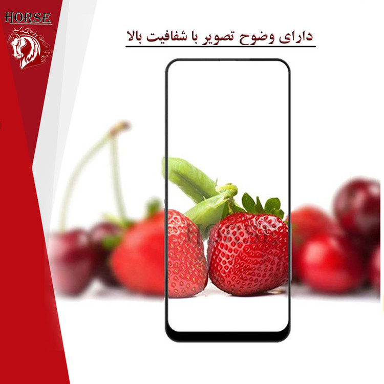 محافظ صفحه نمایش سرامیکی هورس مدل CERAMHORS مناسب برای گوشی موبایل اپل iPhone 12 Pro