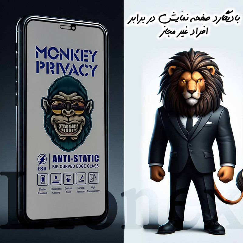 محافظ صفحه نمایش لایونکس مدل AMPL مناسب برای گوشی موبایل شیائومی 15T