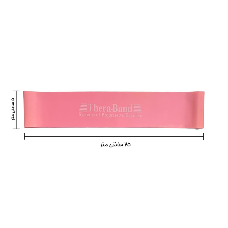 کش مینی لوپ تراباند مدل professional